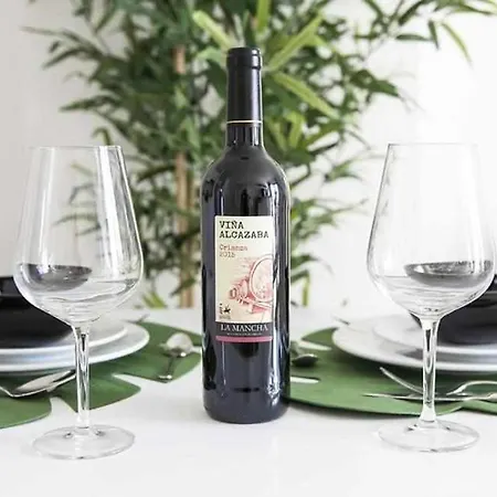 Holyhome Premium 102 * 科斯塔特吉塞